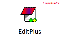 editplus download a file to local machine