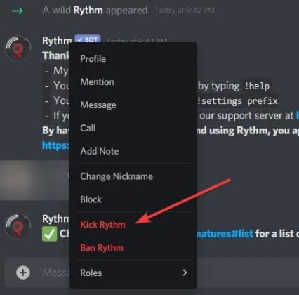 discord bot that auto removes ip grabbers